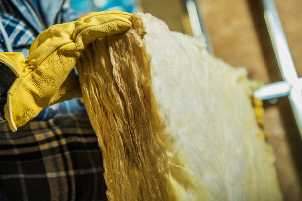 Best Insulation Installation Services in Blanchester, OH